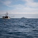 USCGC Bear (WMEC 901) Patrol