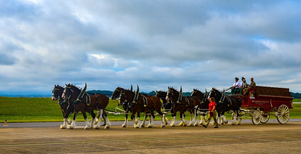 Clydesdales Arrive at Smoky Mountain Air Show