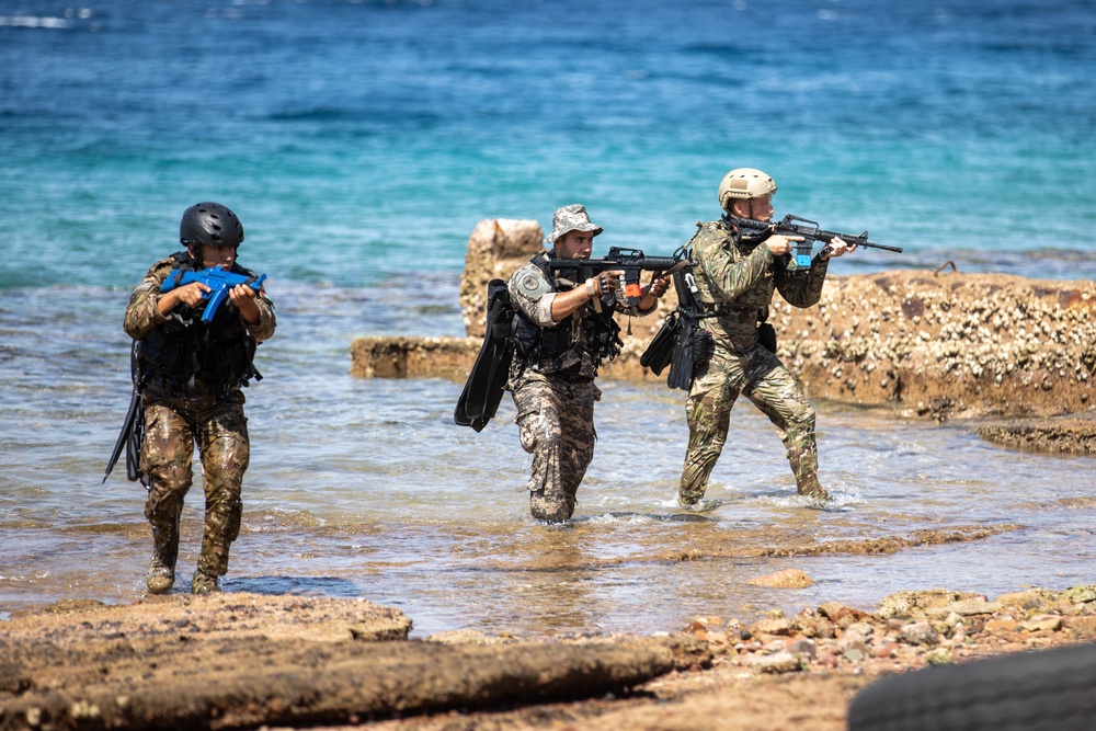 Over the Beach Operations at Exercise Eager Lion 2022