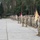 6-9 Cavalry Regiment Change of Command Ceremony 6-9 Cavalry Regiment Change of Command Ceremony