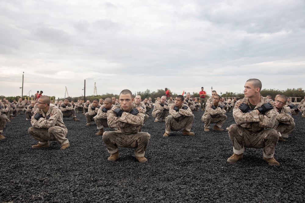 Alpha Company MCMAP