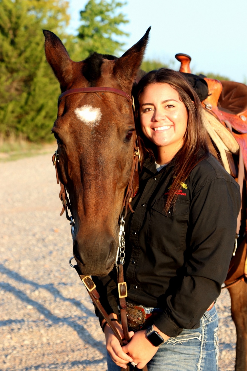 Posing horse