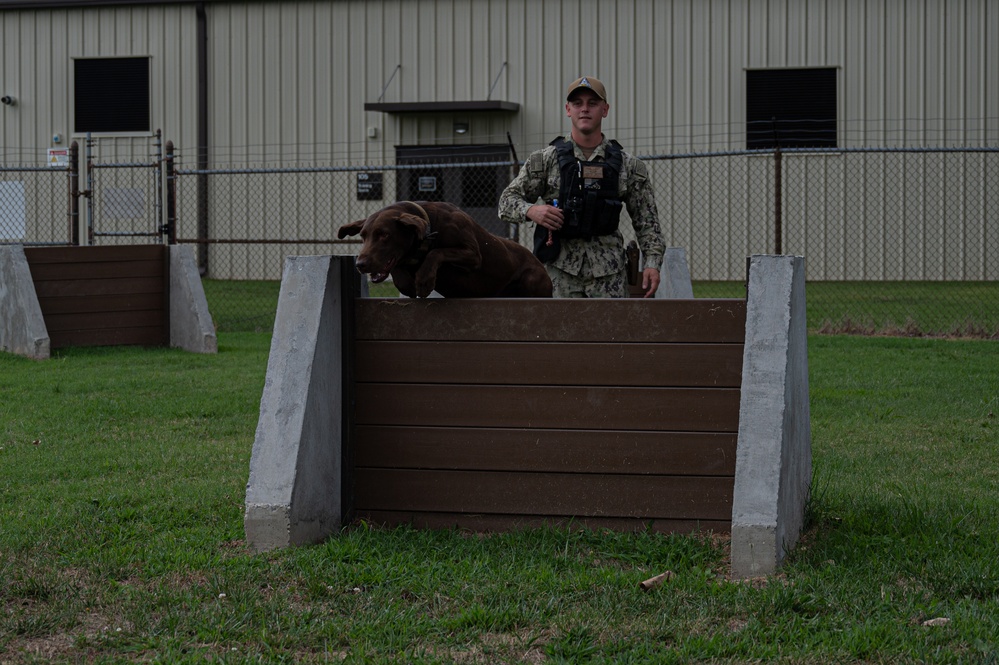 Navy MWD handler conducts training