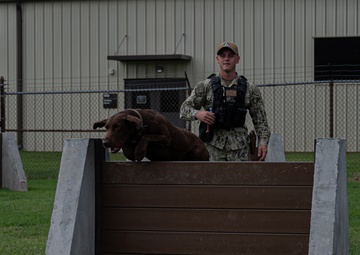 Navy MWD handler conducts training