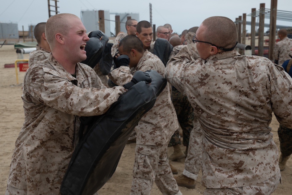 Mike Company Combat Conditioning Course