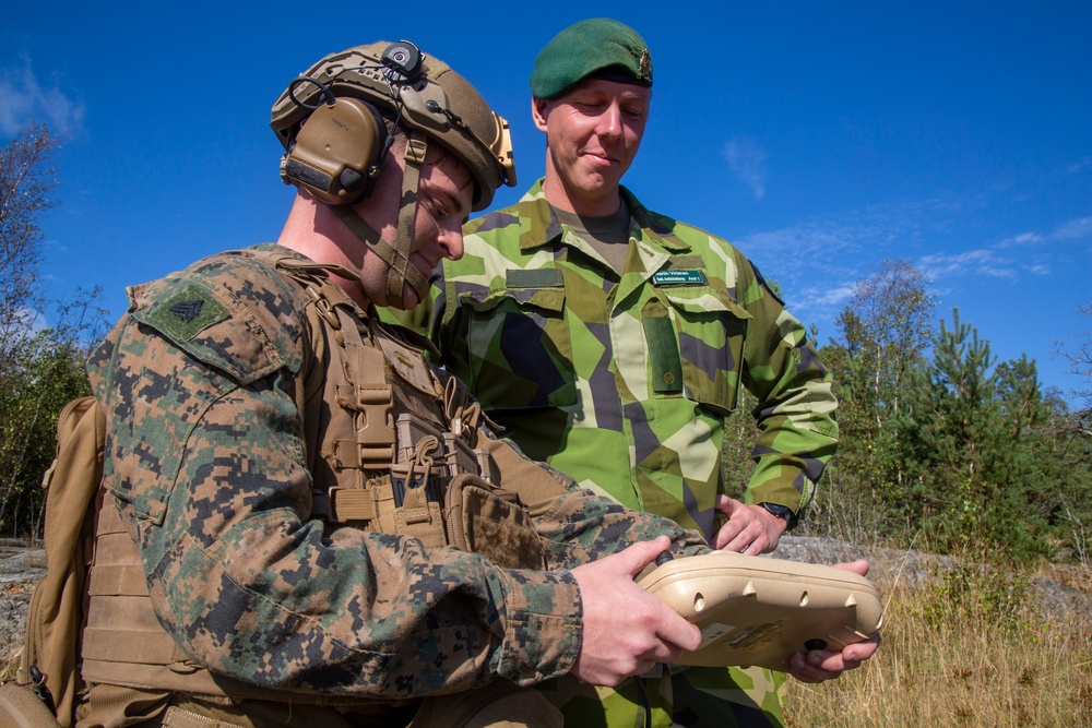 Swedish and U.S. Marines decimate a live fire mortar range