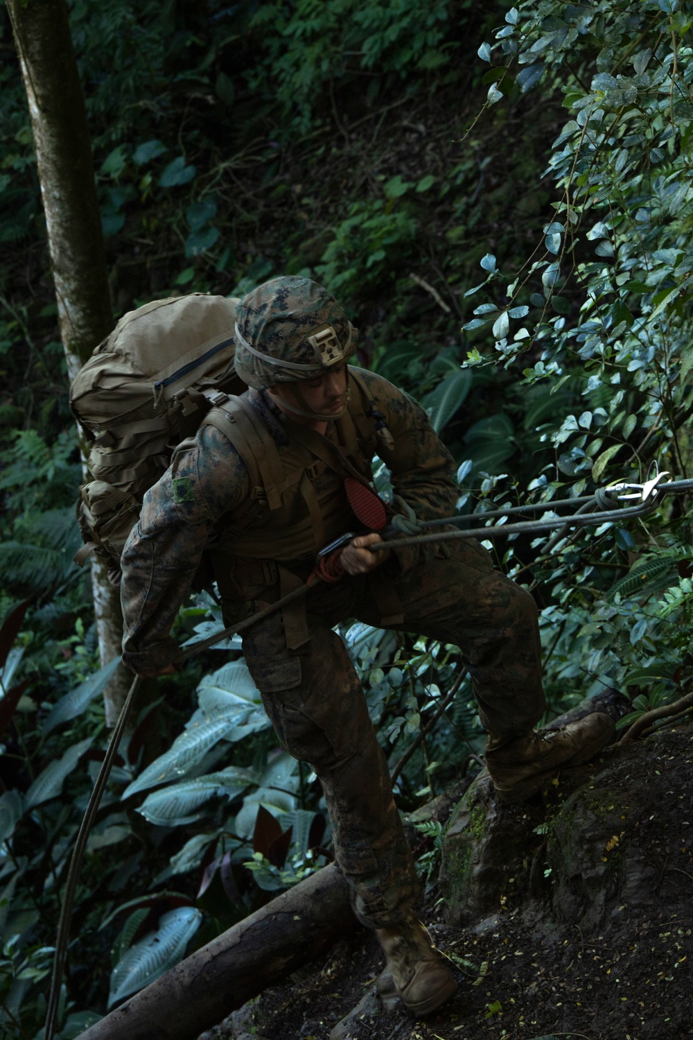 MARFORPAC Marines Conduct Rappelling During the French Armed Forces AITO Course