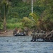 MARFORPAC Marines Conduct Combat Rubber Raiding Craft Operations during the French Armed Forces AITO Course