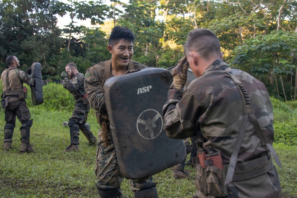 MARFORPAC Marines participate in hand-to-hand combat training during the French Armed Forces Aito Course