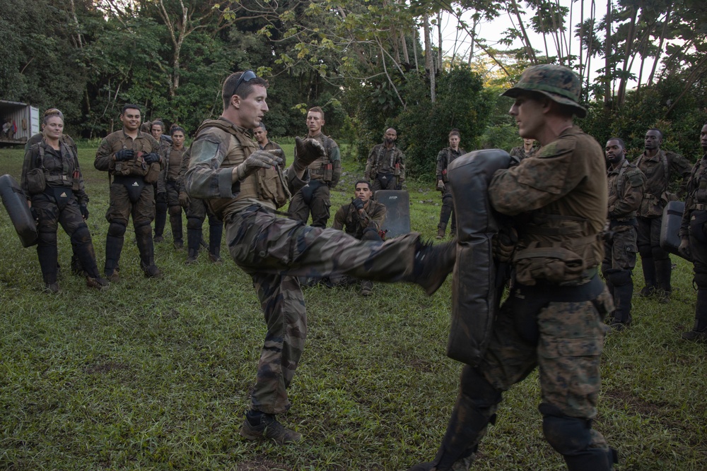 MARFORPAC Marines participate in hand-to-hand combat training during the French Armed Forces Aito Course