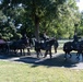 Military Funeral Honors with Funeral Escort Conducted for U.S. Army Air Force Lt. Col. Addison Baker in Section 78