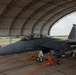 Pilots fly sorties inside chemical-filled cockpit