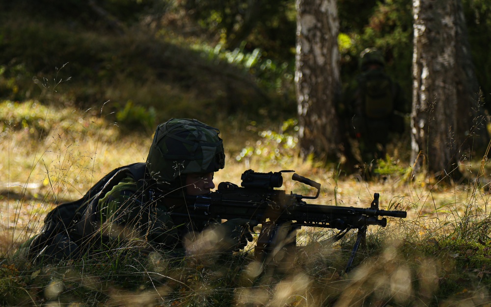 U.S. Force Recon and Swedish Marine Rangers Conduct Joint Range