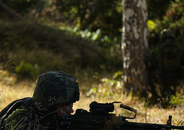 U.S. Force Recon and Swedish Marine Rangers Conduct Joint Range