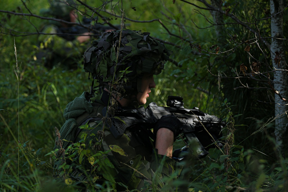 U.S. Force Recon and Swedish Marine Rangers Conduct Joint Range