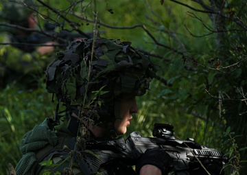 U.S. Force Recon and Swedish Marine Rangers Conduct Joint Range