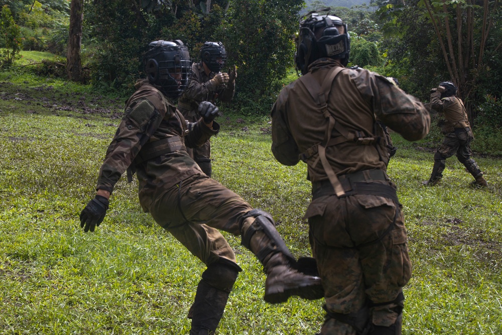 MARFORPAC Marines participate in hand-to-hand combat training during the French Armed Forces Aito Course