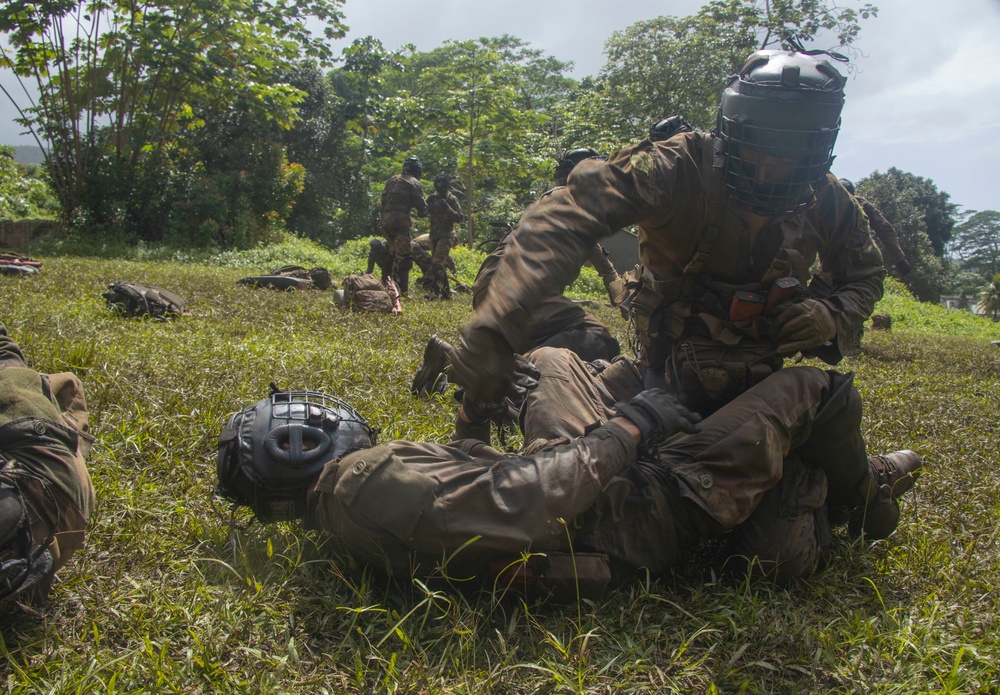 MARFORPAC Marines participate in hand-to-hand combat training during the French Armed Forces Aito Course