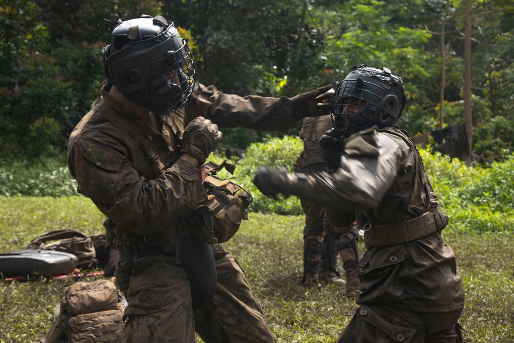 MARFORPAC Marines participate in hand-to-hand combat training during the French Armed Forces Aito Course