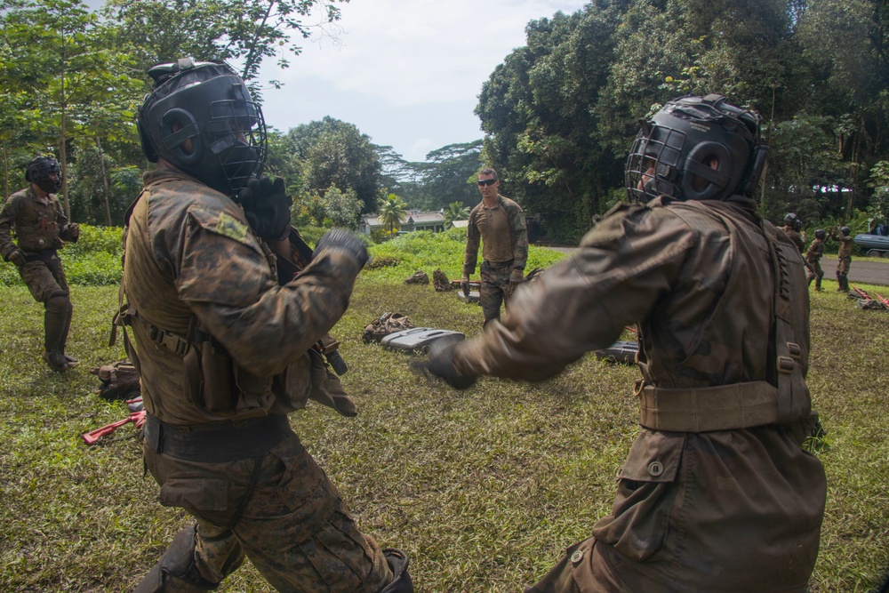 MARFORPAC Marines participate in hand-to-hand combat training during the French Armed Forces Aito Course