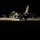 36th and 25th FS perform night ops