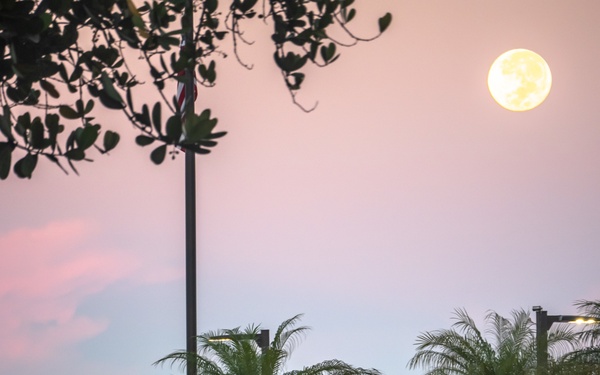 Harvest moon appears during role call