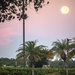 Harvest moon appears during role call