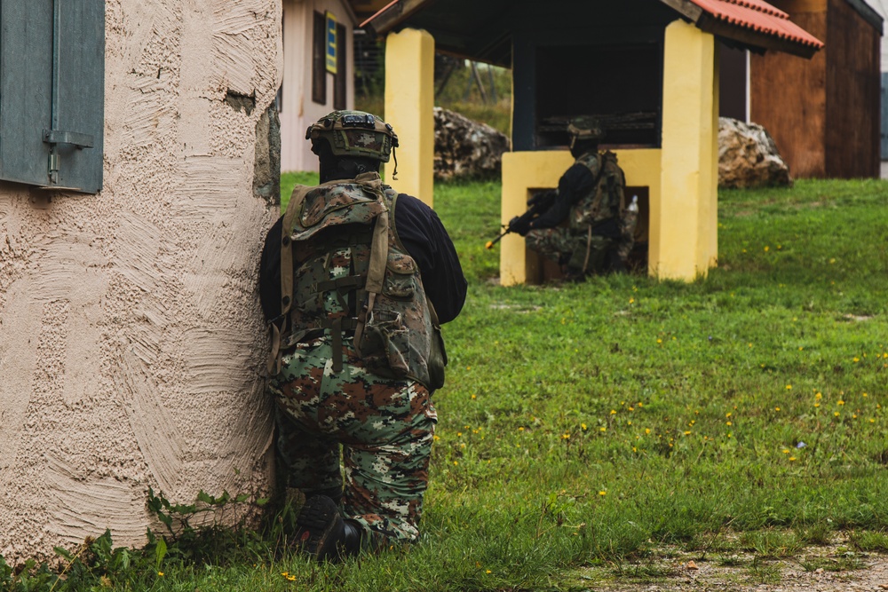 ALFC Delegates Observe Battle during Saber Junction 22