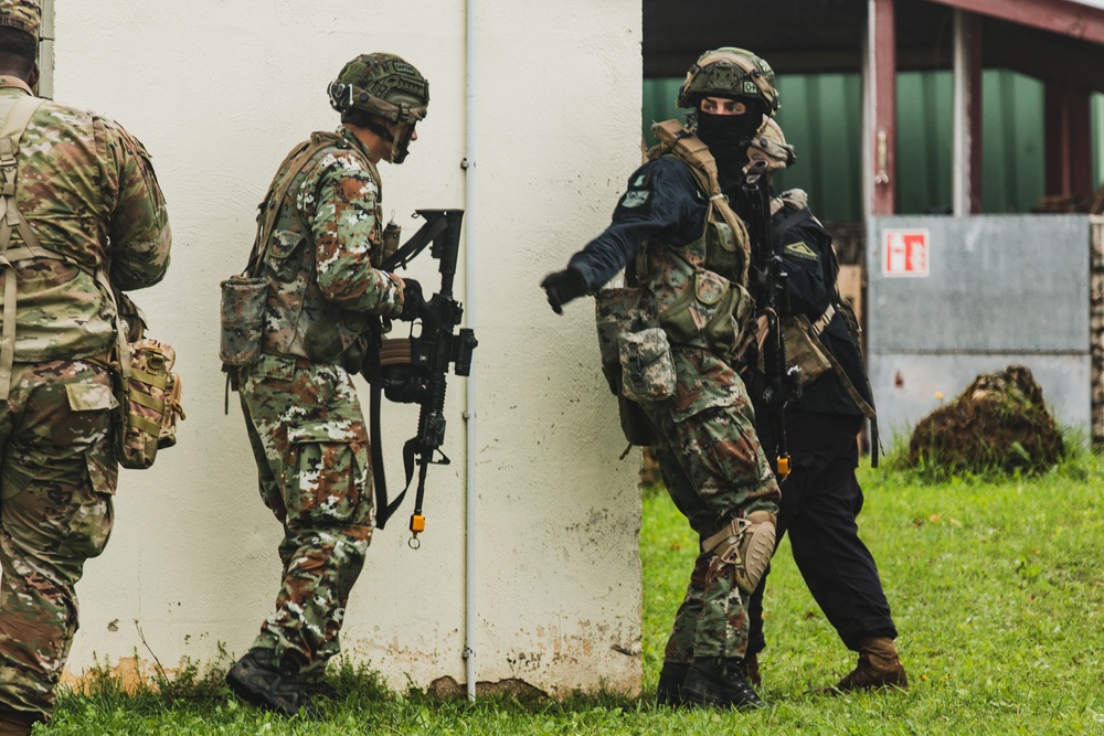 ALFC Delegates Observe Battle during Saber Junction 22