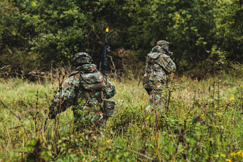 ALFC Delegates Observe Battle during Saber Junction 22
