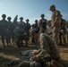 Warrior skills. Soldier badge.