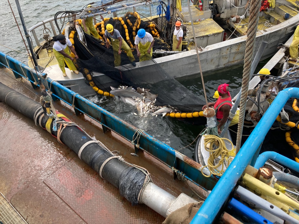 Coast Guard conducts 9 fisheries boardings, issues 26 violations off Texas coast