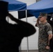 1st Marine Division Marines, sailors awarded during morning colors ceremony