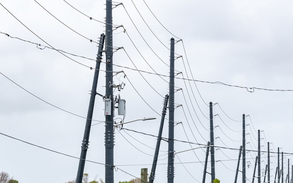 Composite Power Poles Line Landscape on St. Croix