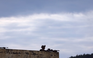 Rooftop Soldier