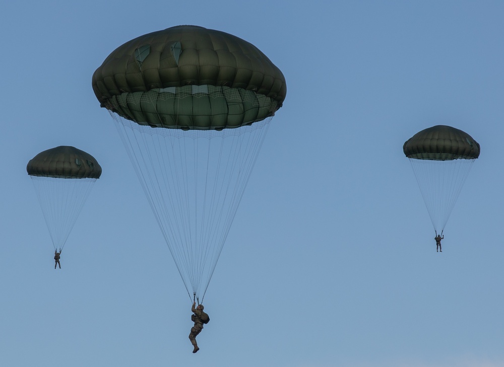 EXERCISE FALCON LEAP