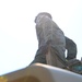 Joint Base Andrews celebrates day two of the Air &amp; Space Expo