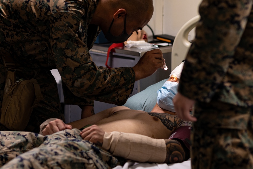 TRANSPORTEX: Mass Casualty