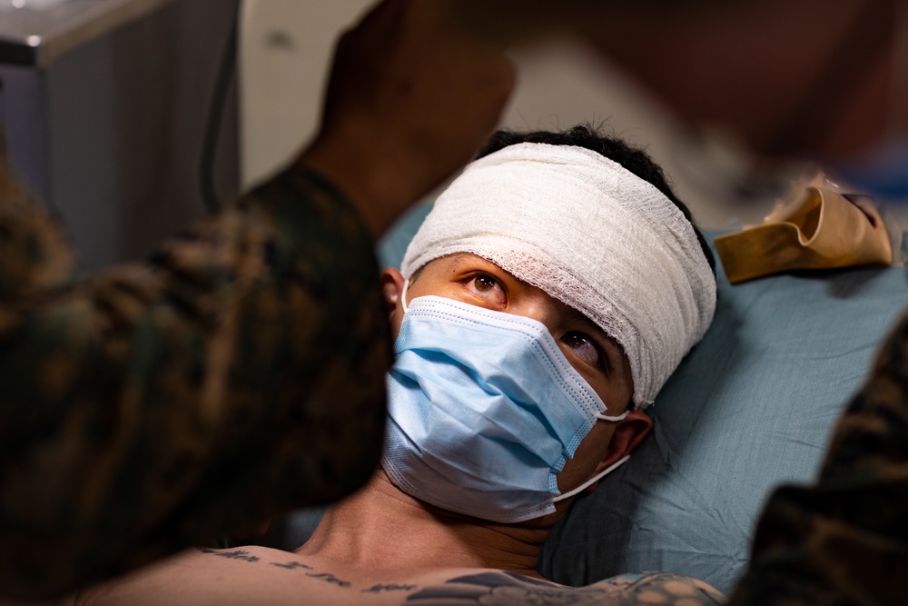 TRANSPORTEX: Mass Casualty