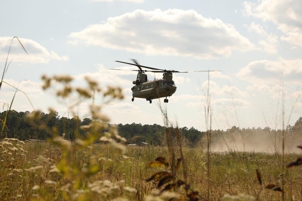 The 3rd Infantry Divisions' 14th Field Hospital conducts validation exercise