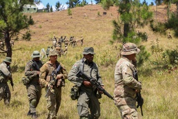 Exercise Cartwheel 2022 Jungle Training