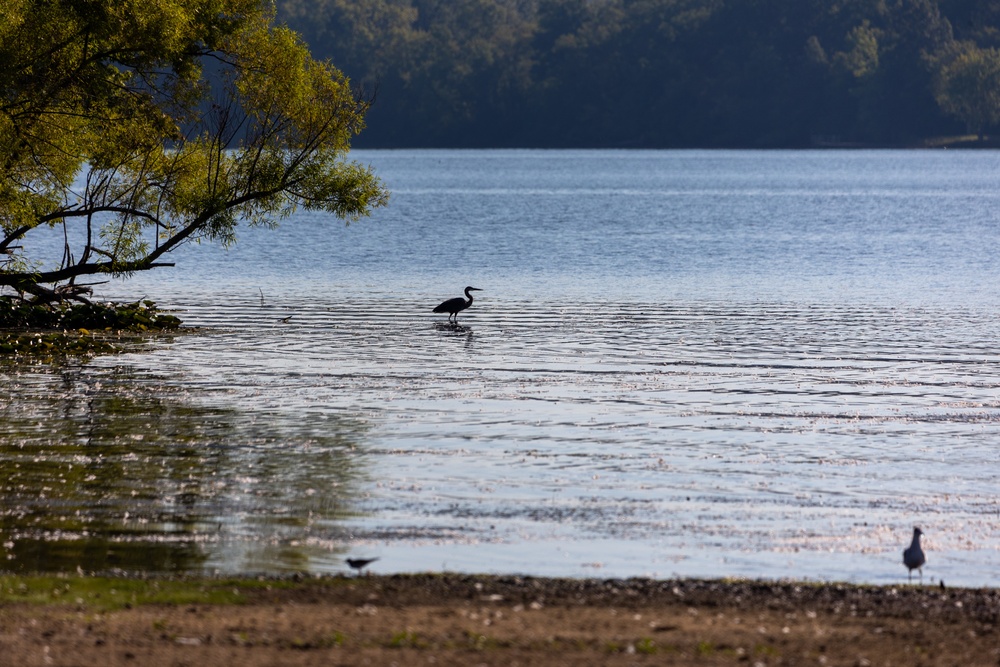 Mosquito Creek Lake