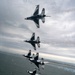 Thunderbirds roar over Jones Beach