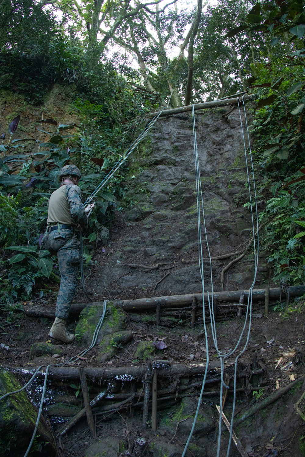 MARFORPAC Marines and French Armed Forces participate in MOUT Training and Jungle Rappel Course