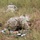 EFMB Land Nav