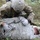 EFMB Tactical Combat Casualty Care