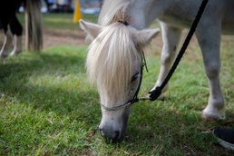 USS Carl Vinson (CVN 70) Hosts Mental Health Wellness Fair