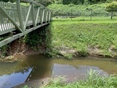 USACE support Hurricane Fiona response efforts in Puerto Rico