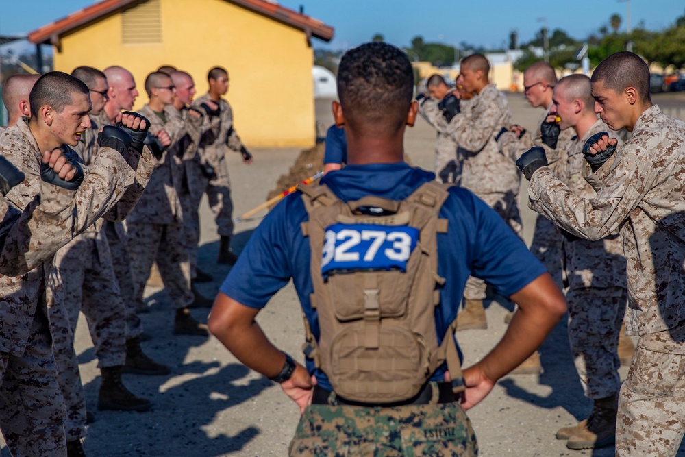 Mike Company Confidence Course
