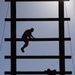 Mike Company Confidence Course